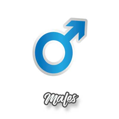 My Little Sugar Glider | Sugar Glider breeder