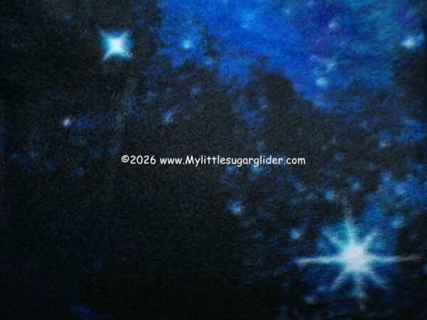 Polka Dots Polka Dots