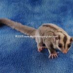 DSC03642