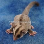 DSC03651