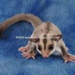 DSC03661