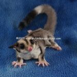 DSC05125