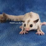 DSC05068