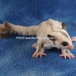 DSC05069