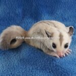 DSC05075