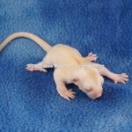 DSC04990