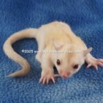 DSC05026