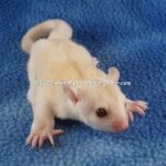 DSC05029