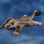 DSC05035