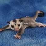 DSC05038