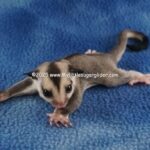 DSC05039
