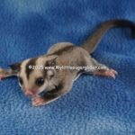 DSC05086