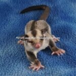 DSC05091
