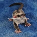 DSC05092