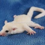 DSC05150