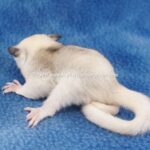 DSC05404