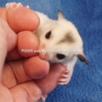DSC05405