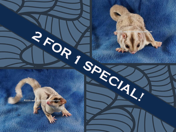 Smokie & Janis Joplin Smokie & Janis Joplin