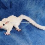 DSC07496