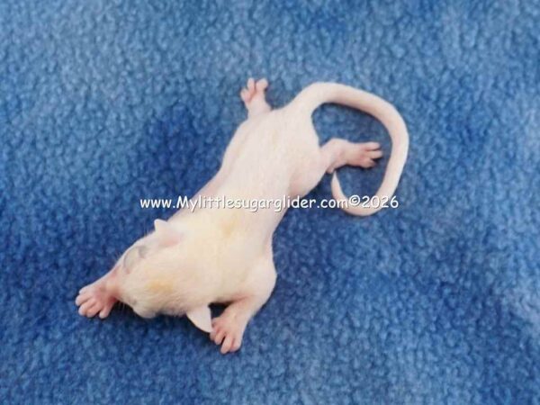 DSC07812