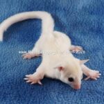 DSC08135